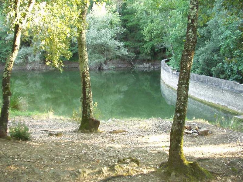 D35 Laghetto-Diga.JPG - LAGO DELLE NINFEE LOCALITA POGGIO VALICAIA